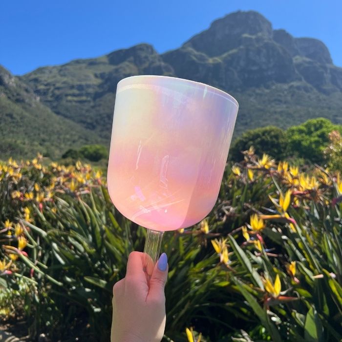 Handheld Practitioner Bowls