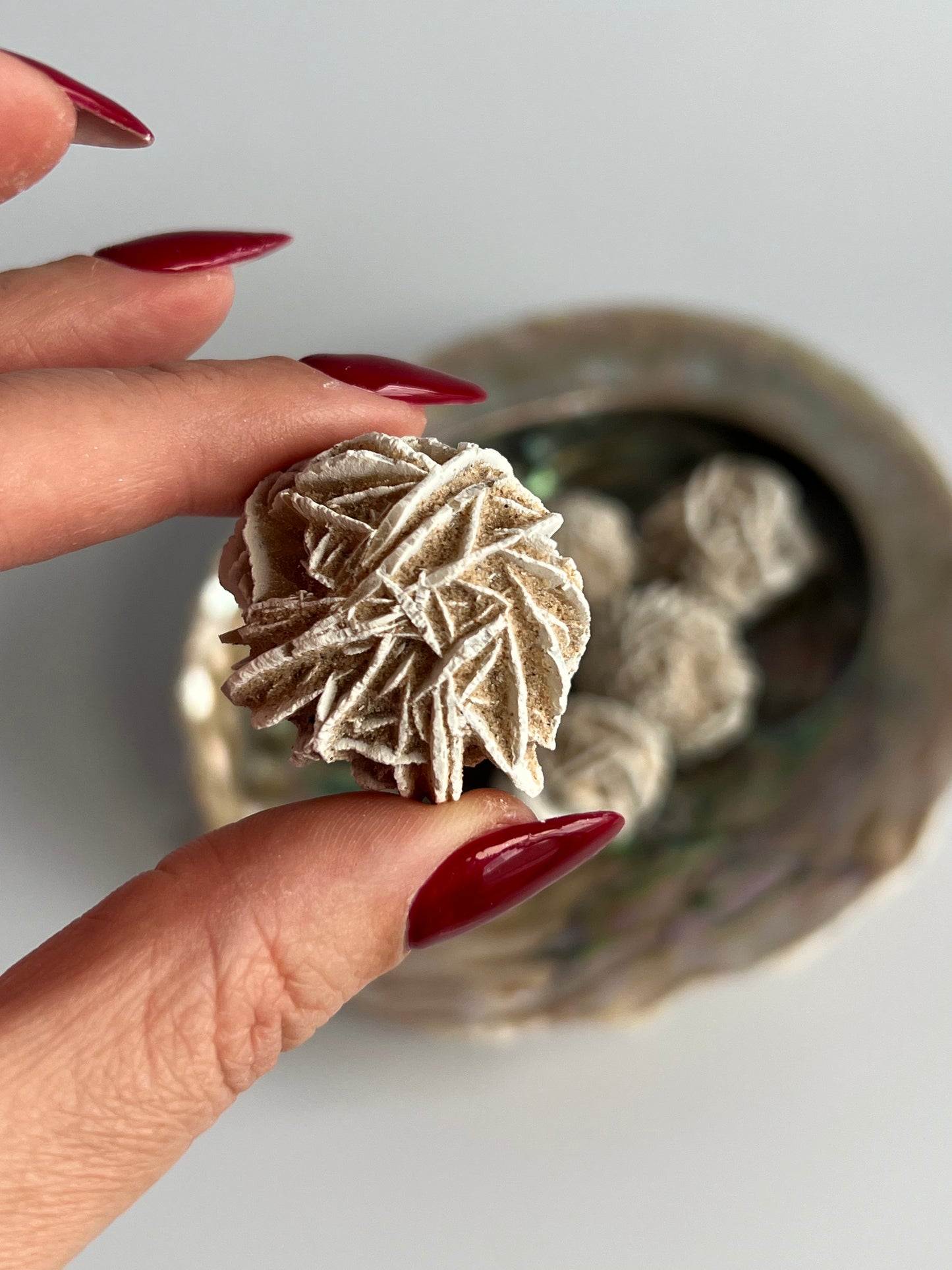 Desert Rose Selenite