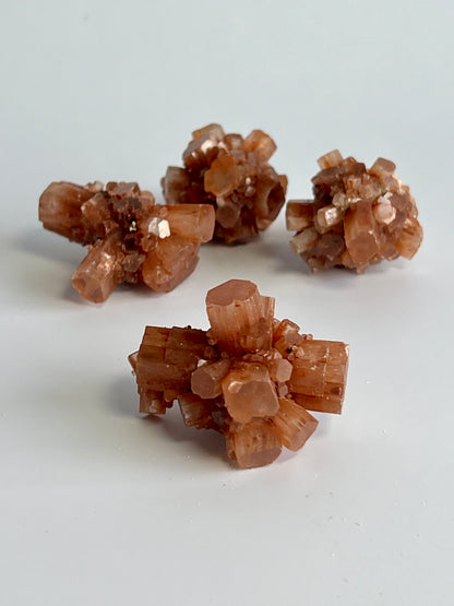 Starburst Aragonite