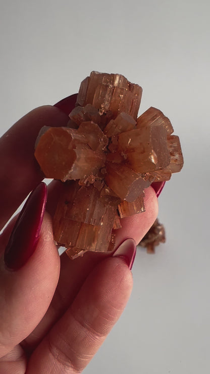 Starburst Aragonite