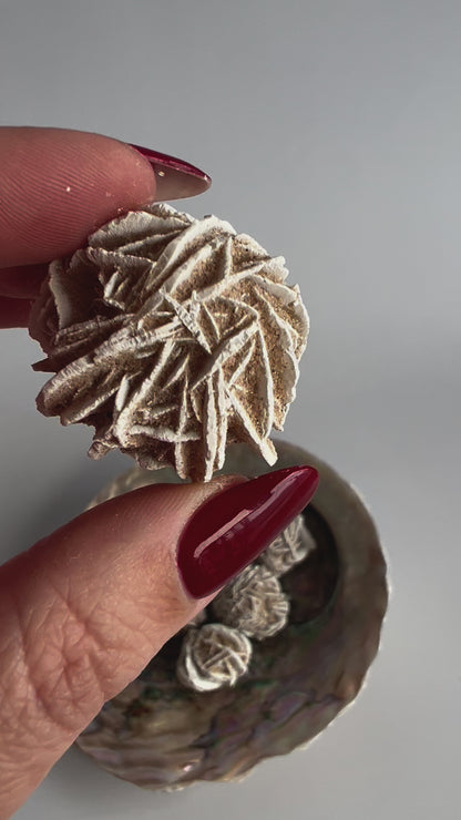 Desert Rose Selenite