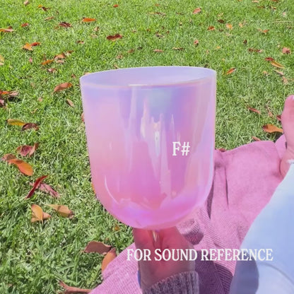Handheld Practitioner Bowls